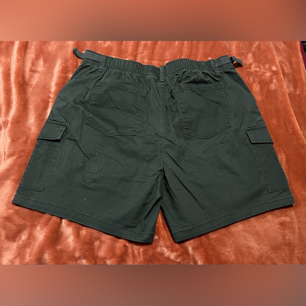 Terra & Sky Adjustable Waist High-Rise Cargo Shorts 🔥NWT🔥 - Picture 2 of 9